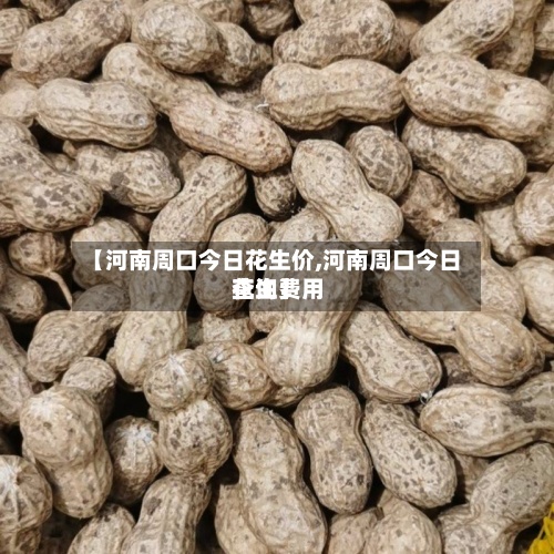 【河南周口今日花生价,河南周口今日花生费用查询】