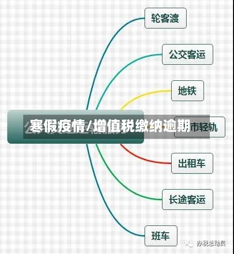 寒假疫情/增值税缴纳逾期