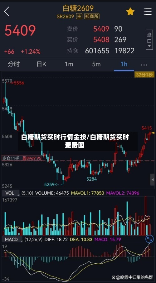 白糖期货实时行情金投/白糖期货实时费用
走势图-第3张图片