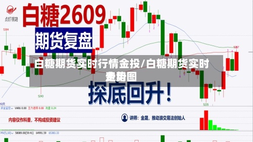 白糖期货实时行情金投/白糖期货实时费用
走势图-第2张图片