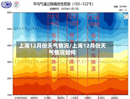 上海12月份天气情况/上海12月份天气情况如何