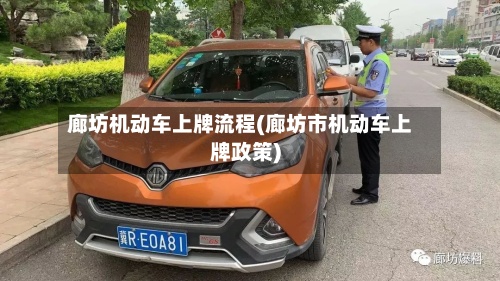 廊坊机动车上牌流程(廊坊市机动车上牌政策)