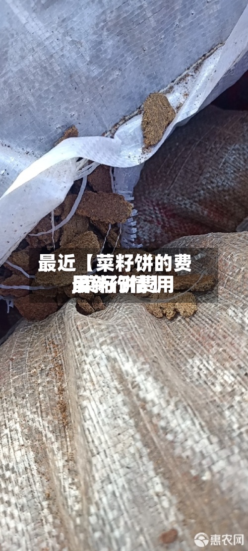 最近【菜籽饼的费用
,菜籽饼费用
最新行情】-第2张图片