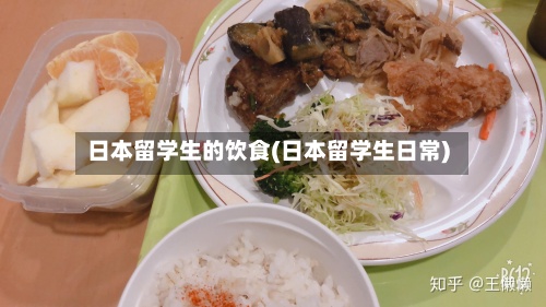 日本留学生的饮食(日本留学生日常)-第2张图片