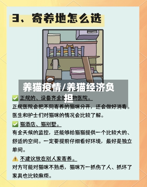 养猫疫情/养猫经济负担-第2张图片