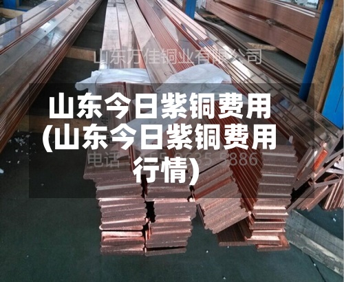 山东今日紫铜费用
(山东今日紫铜费用
行情)-第3张图片