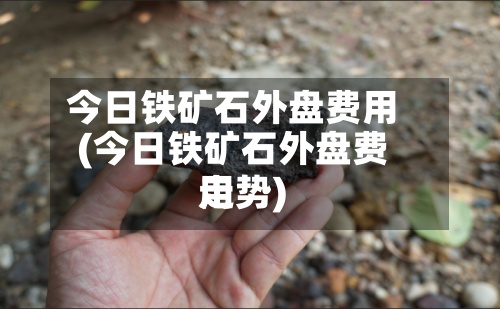 今日铁矿石外盘费用
(今日铁矿石外盘费用
走势)-第3张图片