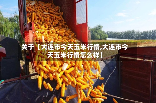 关于【大连市今天玉米行情,大连市今天玉米行情怎么样】