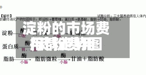 淀粉的市场费用/淀粉费用行情走势图