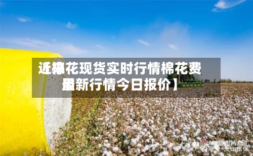 近来【棉花现货实时行情棉花费用最新行情今日报价】