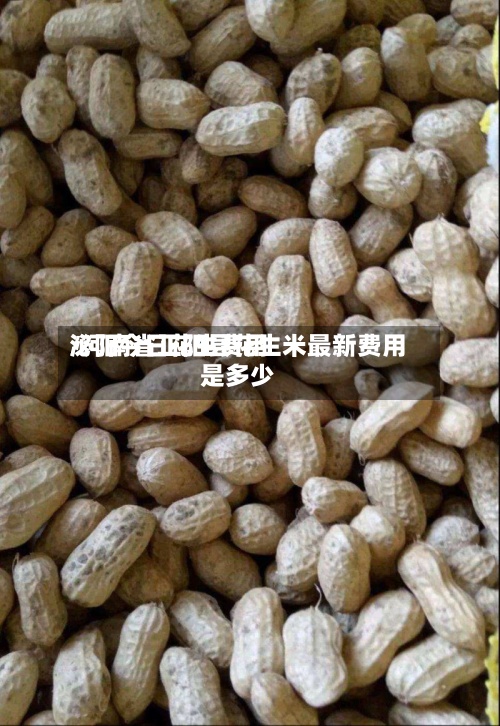 泌阳今日花生费用/河南省正阳县花生米最新费用是多少