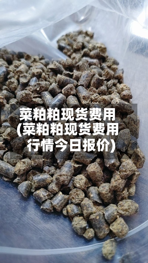 菜粕粕现货费用
(菜粕粕现货费用
行情今日报价)-第2张图片