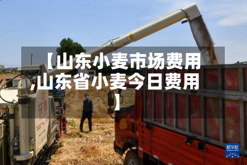 【山东小麦市场费用
,山东省小麦今日费用
】-第2张图片