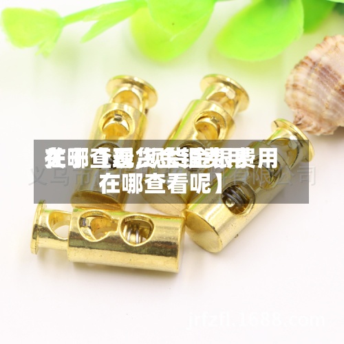 关于【现货金银费用在哪查看,现货金银费用在哪查看呢】