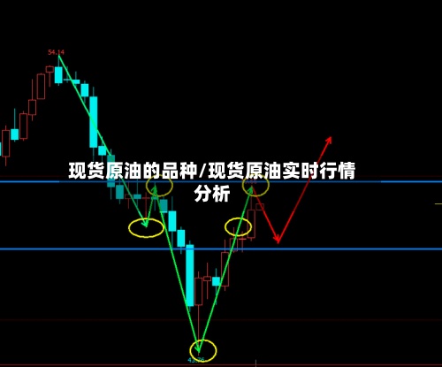 现货原油的品种/现货原油实时行情分析-第3张图片