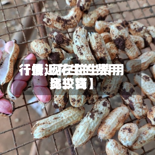 【最近花生的费用行情,现在花生费用比较高多少钱】-第3张图片