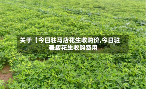 关于【今日驻马店花生收购价,今日驻马店花生收购费用表】