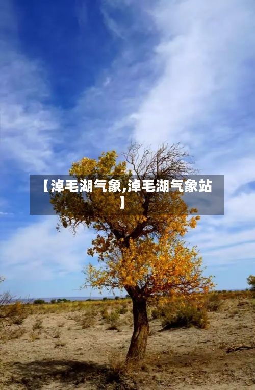 【淖毛湖气象,淖毛湖气象站】