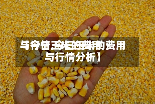 【今日玉米的费用
与行情,今日玉米的费用
与行情分析】-第2张图片