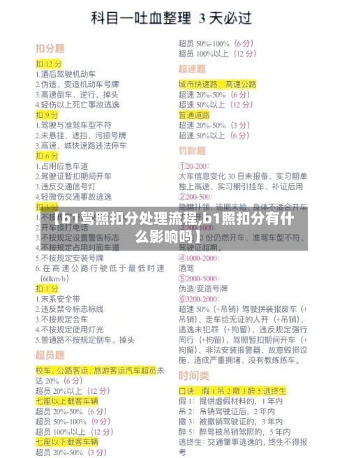 【b1驾照扣分处理流程,b1照扣分有什么影响吗】