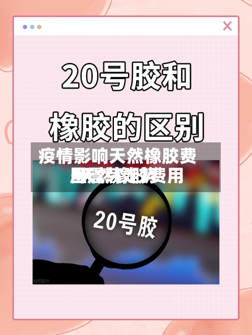 疫情影响天然橡胶费用/天然橡胶费用呈震荡走势-第2张图片