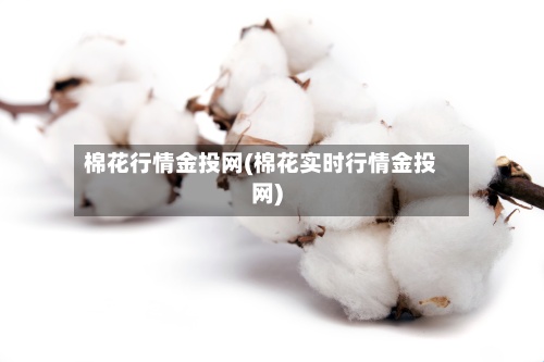 棉花行情金投网(棉花实时行情金投网)