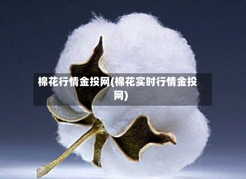 棉花行情金投网(棉花实时行情金投网)-第2张图片