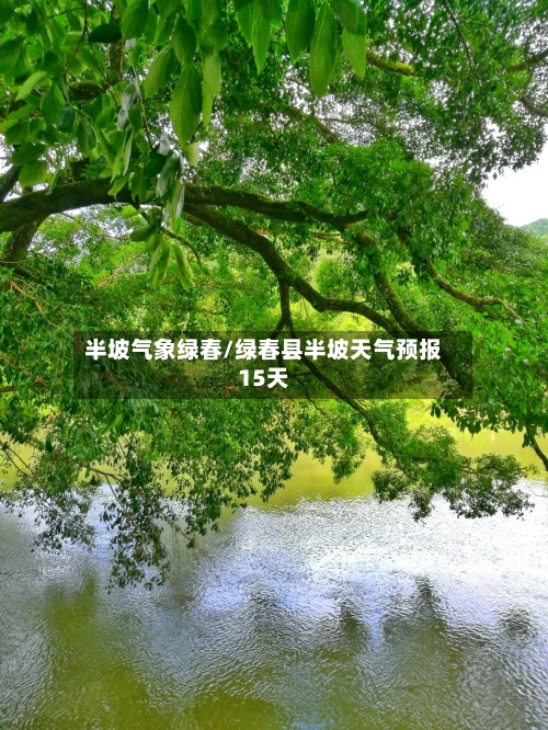 半坡气象绿春/绿春县半坡天气预报15天-第2张图片