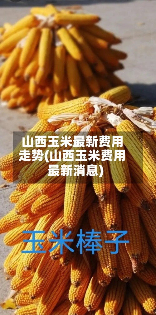 山西玉米最新费用走势(山西玉米费用最新消息)