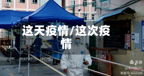这天疫情/这次疫情-第2张图片