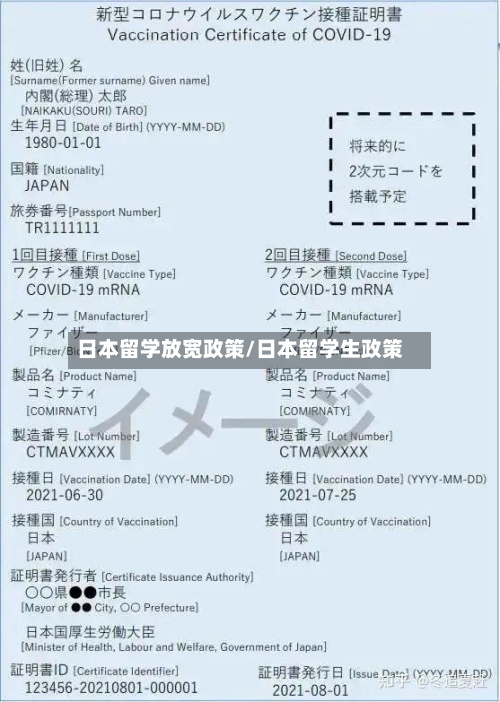 日本留学放宽政策/日本留学生政策
