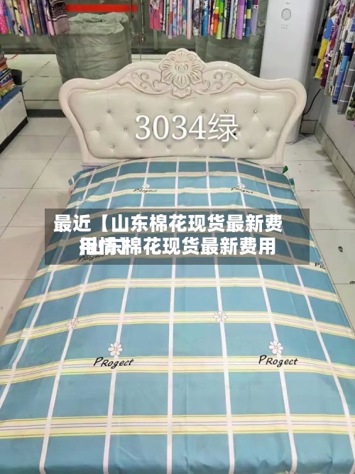 最近【山东棉花现货最新费用,山东棉花现货最新费用行情】