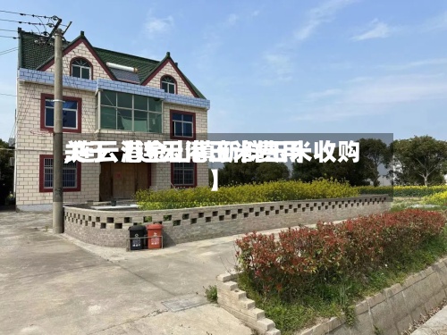 关于【连云港玉米费用,连云港金山镇新鲜玉米收购】