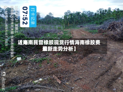 近来
【海南民营橡胶现货行情海南橡胶费用
最新走势分析】-第2张图片