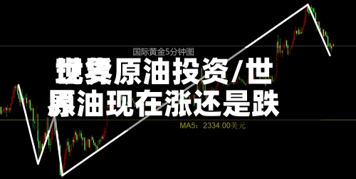 世界现货原油投资/世界原油现在涨还是跌