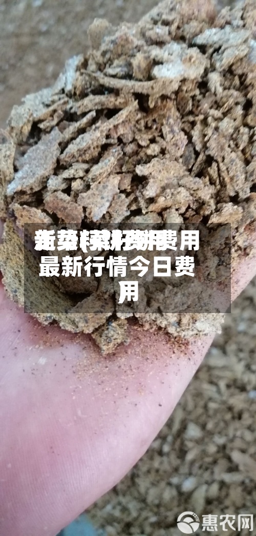新菜籽饼费用走势(菜籽饼费用最新行情今日费用)-第3张图片