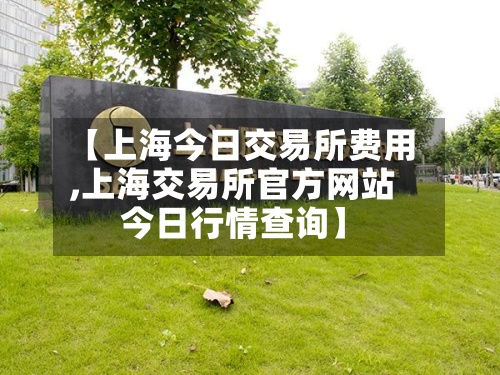 【上海今日交易所费用,上海交易所官方网站今日行情查询】
