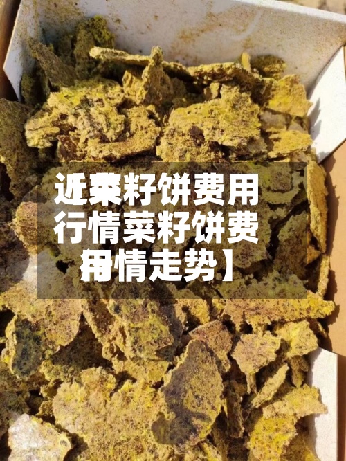 近来【菜籽饼费用行情菜籽饼费用行情走势】-第3张图片