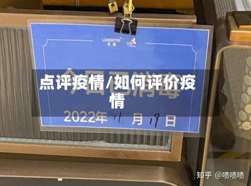 点评疫情/如何评价疫情-第3张图片