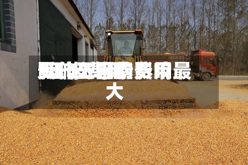 影响玉米的费用/玉米费用受什么因素影响最大