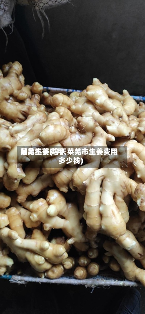 莱芜生姜费用
居高不下(今天莱芜市生姜费用
多少钱)-第2张图片