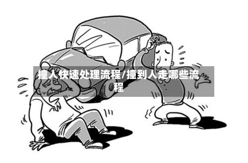 撞人快速处理流程/撞到人走哪些流程