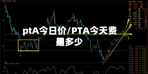 ptA今日价/PTA今天费用
是多少-第3张图片