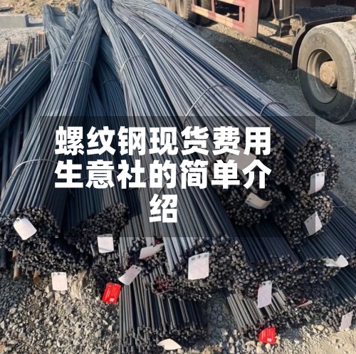 螺纹钢现货费用生意社的简单介绍-第3张图片