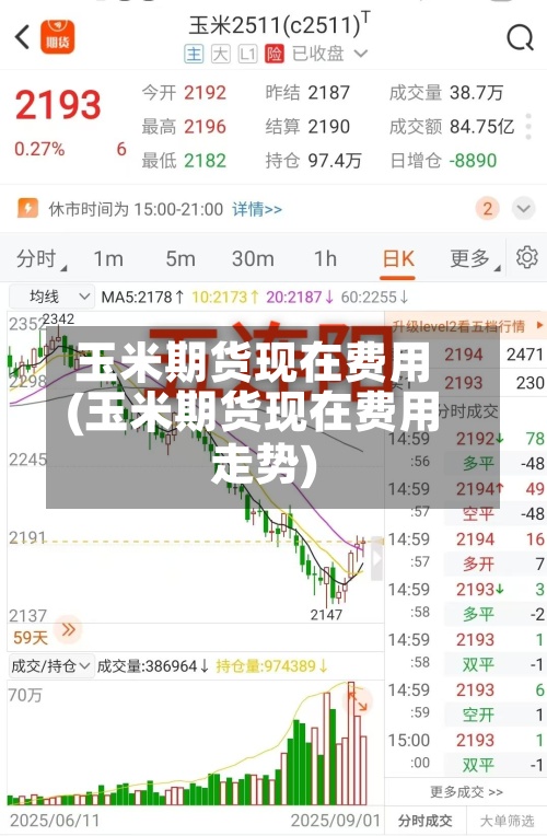 玉米期货现在费用(玉米期货现在费用走势)