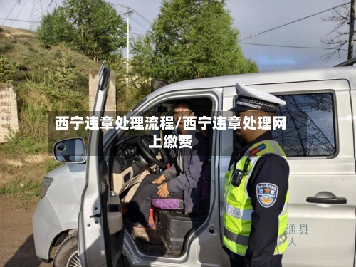 西宁违章处理流程/西宁违章处理网上缴费