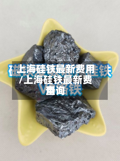 上海硅铁最新费用
/上海硅铁最新费用
查询-第2张图片