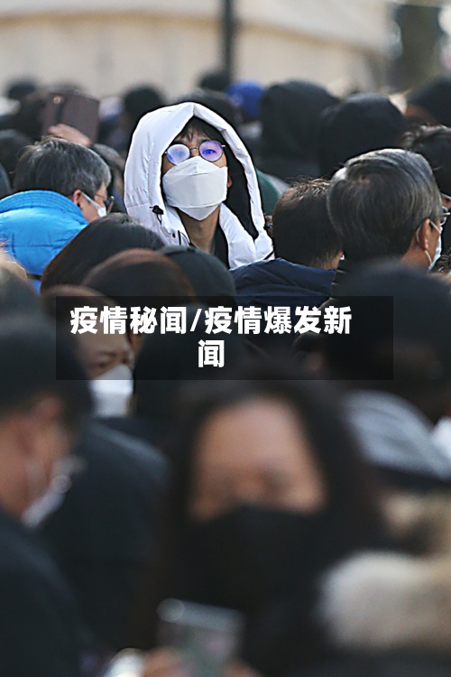 疫情秘闻/疫情爆发新闻