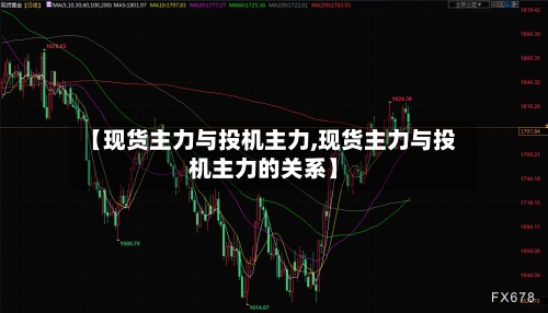 【现货主力与投机主力,现货主力与投机主力的关系】-第3张图片