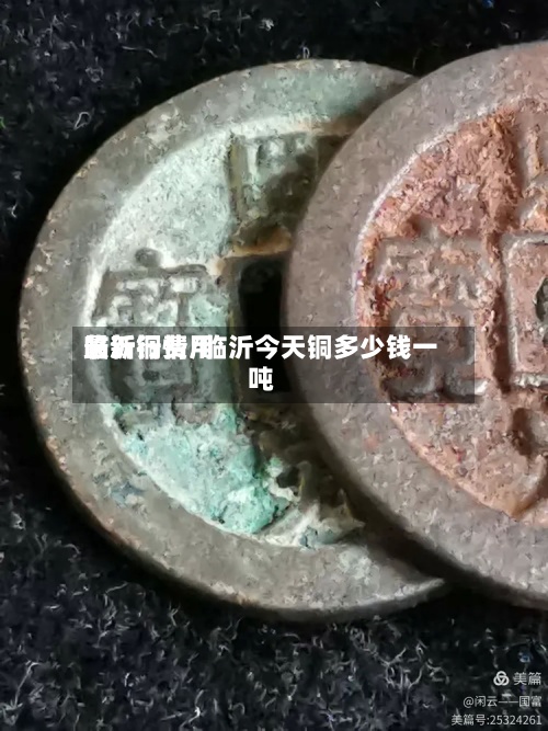 临沂铜费用
最新行情/临沂今天铜多少钱一吨-第3张图片